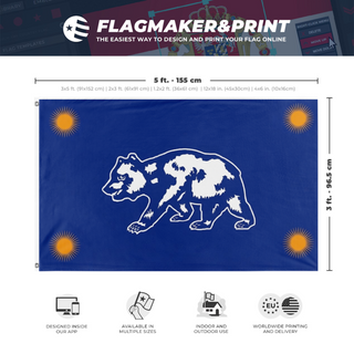 A mockup depicting custom flag specifications and measurements for 'test flag'