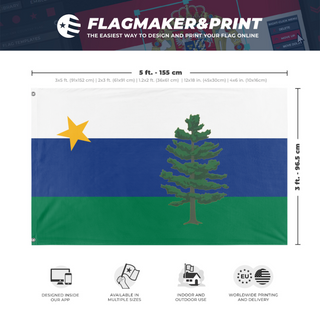 A mockup depicting custom flag specifications and measurements for 'Perryland National flag'