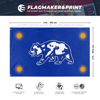 A mockup depicting custom flag specifications and measurements for 'C flag'
