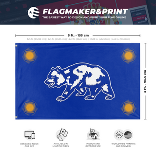 A mockup depicting custom flag specifications and measurements for 'C flag'