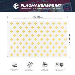 A mockup depicting custom flag specifications and measurements for 'Royal Standard Of France  flag'