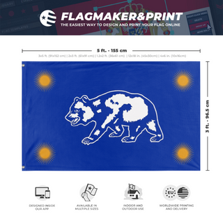 A mockup depicting custom flag specifications and measurements for 'C flag'
