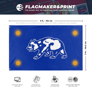 A mockup depicting custom flag specifications and measurements for 'C flag'