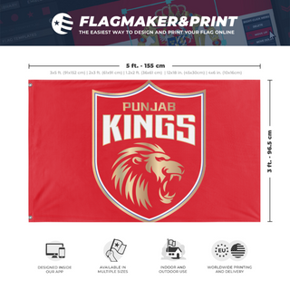 A mockup depicting custom flag specifications and measurements for 'pbks flag'