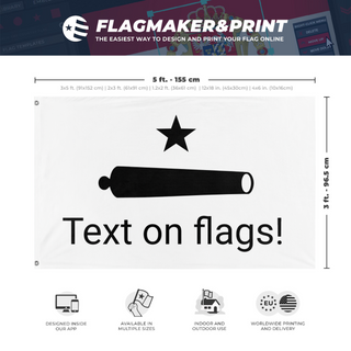 A mockup depicting custom flag specifications and measurements for 'fs flag'