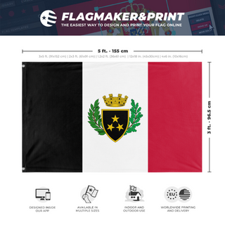 A mockup depicting custom flag specifications and measurements for 'Tricolor City-State flag'