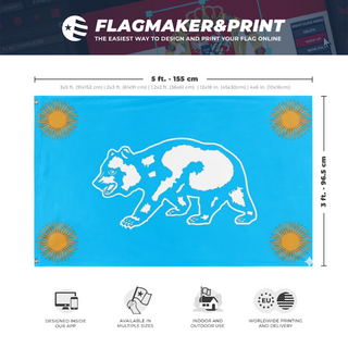 A mockup depicting custom flag specifications and measurements for 'C flag'