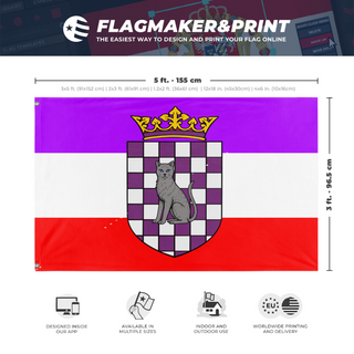 A mockup depicting custom flag specifications and measurements for 'United Duchies of Jasonia flag'