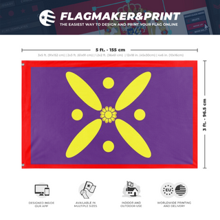 A mockup depicting custom flag specifications and measurements for 'Sassanid Empire flag'