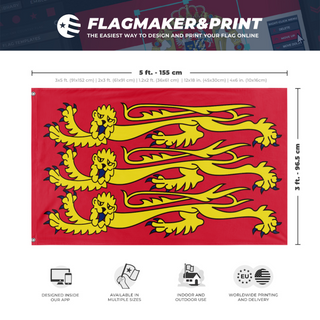 A mockup depicting custom flag specifications and measurements for 'Three Lions Flag'