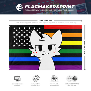 A mockup depicting custom flag specifications and measurements for 'American Boykisser flag'