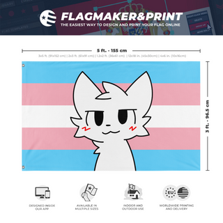 A mockup depicting custom flag specifications and measurements for 'Transgender Boykisser flag'