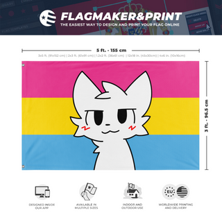 A mockup depicting custom flag specifications and measurements for 'Pansexual Boykisser flag'