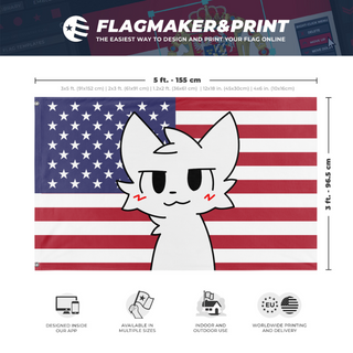 A mockup depicting custom flag specifications and measurements for 'American Boykisser flag'