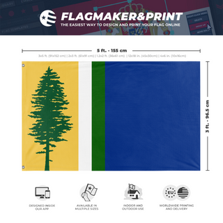 A mockup depicting custom flag specifications and measurements for 'Alternate Doug Flag'