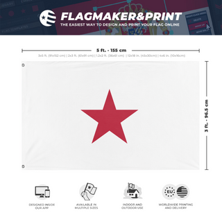 A mockup depicting custom flag specifications and measurements for 'T flag'