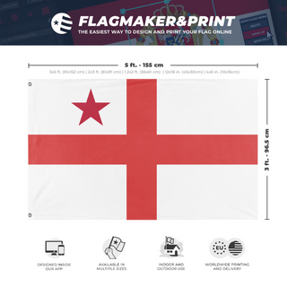 A mockup depicting custom flag specifications and measurements for 'Desk to Desk 2026 flag'