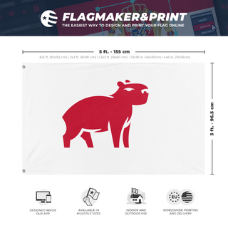 A mockup depicting custom flag specifications and measurements for 'test flag'