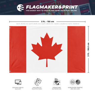 A mockup depicting custom flag specifications and measurements for 'T flag'