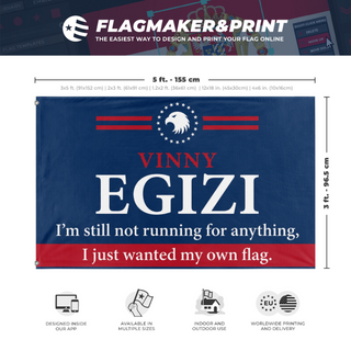 A mockup depicting custom flag specifications and measurements for 'vinny egizi flag'