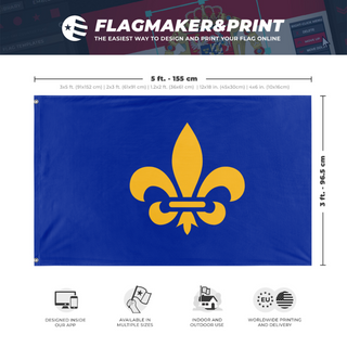 A mockup depicting custom flag specifications and measurements for 'New French flag'