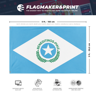 A mockup depicting custom flag specifications and measurements for 'Test Flag'