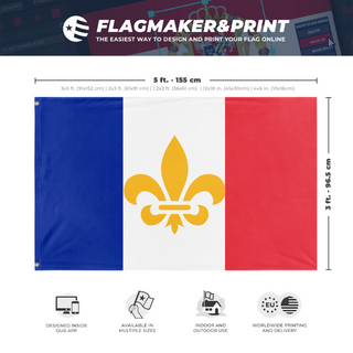 A mockup depicting custom flag specifications and measurements for 'New French flag'