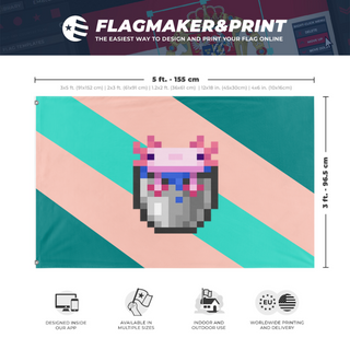 A mockup depicting custom flag specifications and measurements for 'Bucket Empire flag'