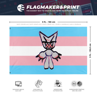 A mockup depicting custom flag specifications and measurements for 'pet flag'