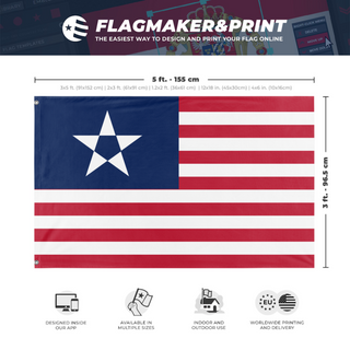 A mockup depicting custom flag specifications and measurements for 'The Tyranny of King Washington flag'