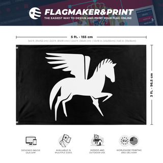 A mockup depicting custom flag specifications and measurements for 'Anne Bonny Pirate flag'