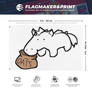 A mockup depicting custom flag specifications and measurements for 'Cloppy flag'