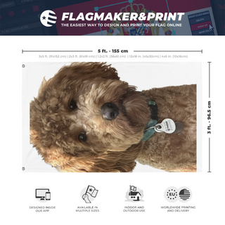 A mockup depicting custom flag specifications and measurements for 'ALFIE flag'