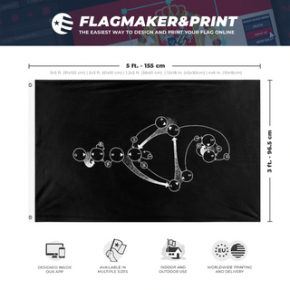 A mockup depicting custom flag specifications and measurements for 'numogram flag'