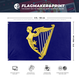 A mockup depicting custom flag specifications and measurements for 'Royal Standard of Ireland 1542 to 1801 flag'