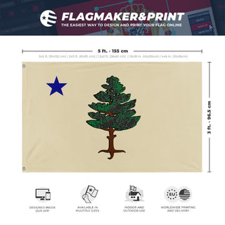 A mockup depicting custom flag specifications and measurements for '1901 Maine Flag'