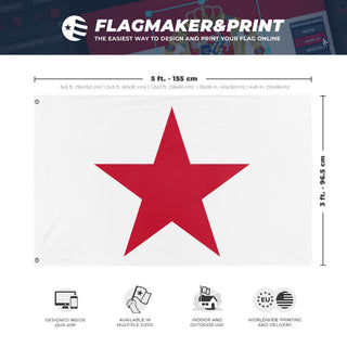 A mockup depicting custom flag specifications and measurements for 'California realm flag'