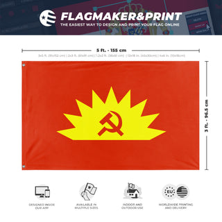 A mockup depicting custom flag specifications and measurements for 'Communist Party of Ireland flag'