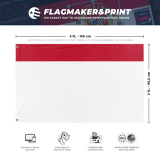 A mockup depicting custom flag specifications and measurements for 'Custom Companion Flag'