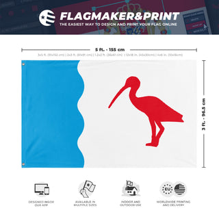 A mockup depicting custom flag specifications and measurements for 'Guaramirim Redesign flag'