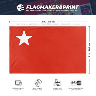 A mockup depicting custom flag specifications and measurements for 'People's Defence Force'