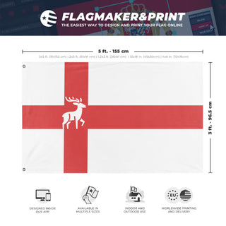 A mockup depicting custom flag specifications and measurements for 'caidenia flag'