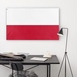 polska flag (POLISH guy)