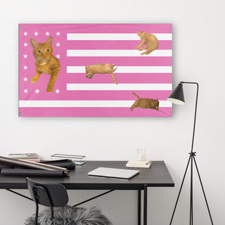 CAT flag (LEO)