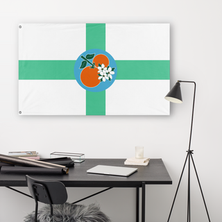 Florida Redesign flag (elbasy)