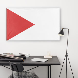A lifestyle mockup of the custom flag 'T flag' in a white office room