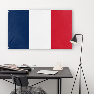 A lifestyle mockup of the custom flag 'Plain France flag' in a white office room