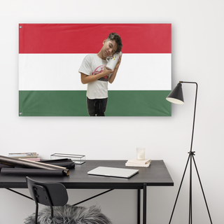 A lifestyle mockup of the custom flag 'tuzaria flag' in a white office room