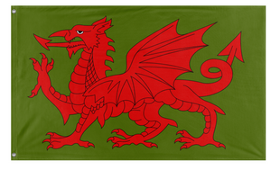PTO FINAL DRAGON FLAG FINISHED flag (PTO)