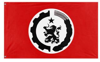 DSR flag (NBPN)